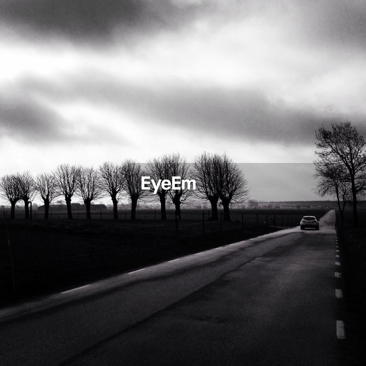 EMPTY ROAD BY TREES AGAINST CLOUDY SKY