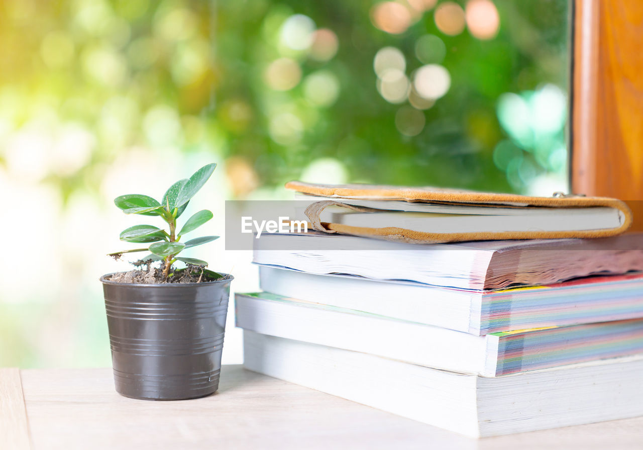 Stack of book and mini plant pot on front yard in holiday. the relax time reading book.