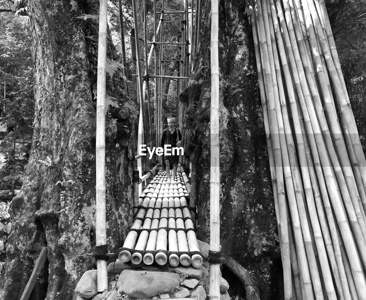 Full length of man walking on footbridge in forest