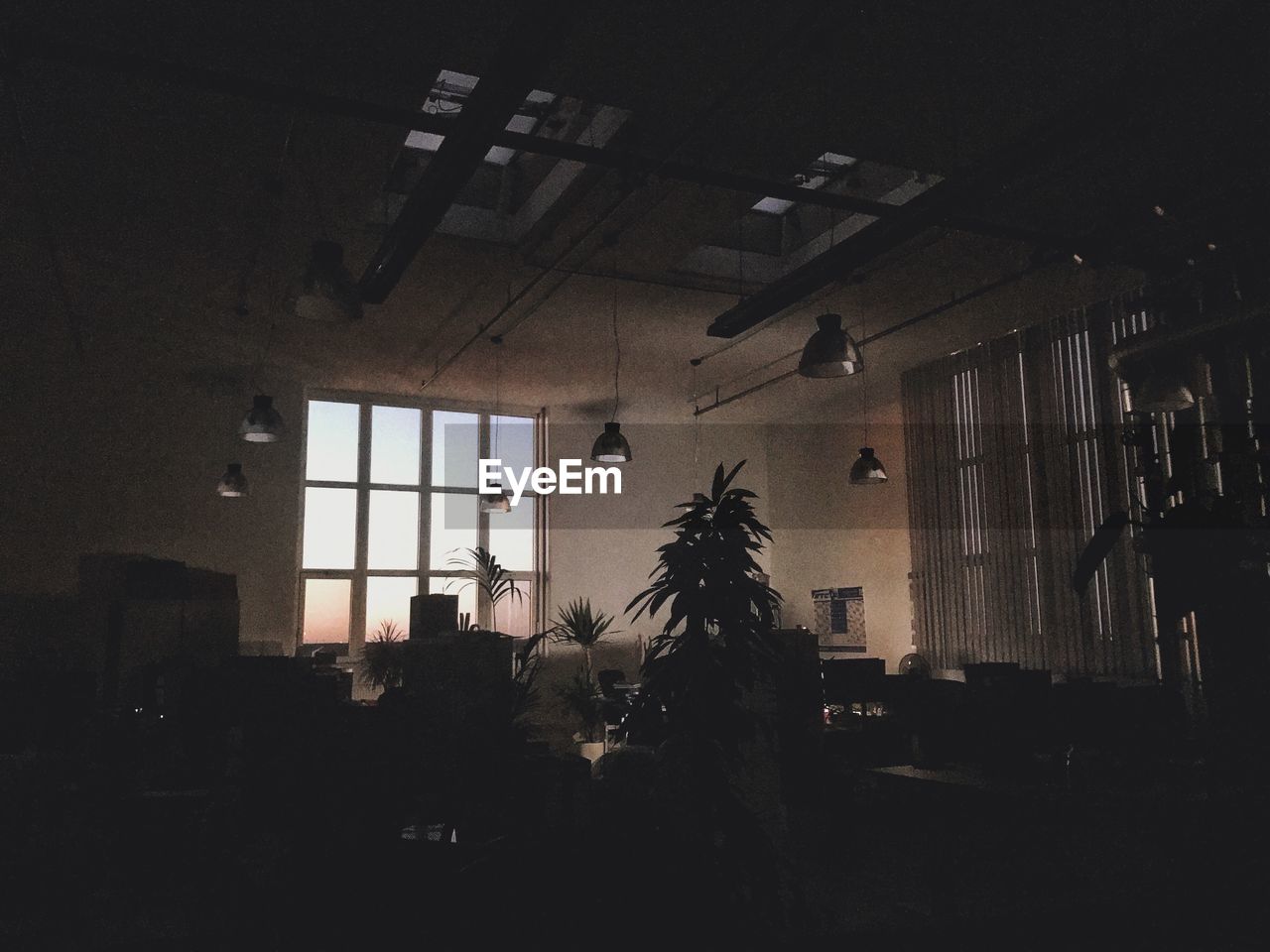 SILHOUETTE OF POTTED PLANTS HANGING IN WINDOW