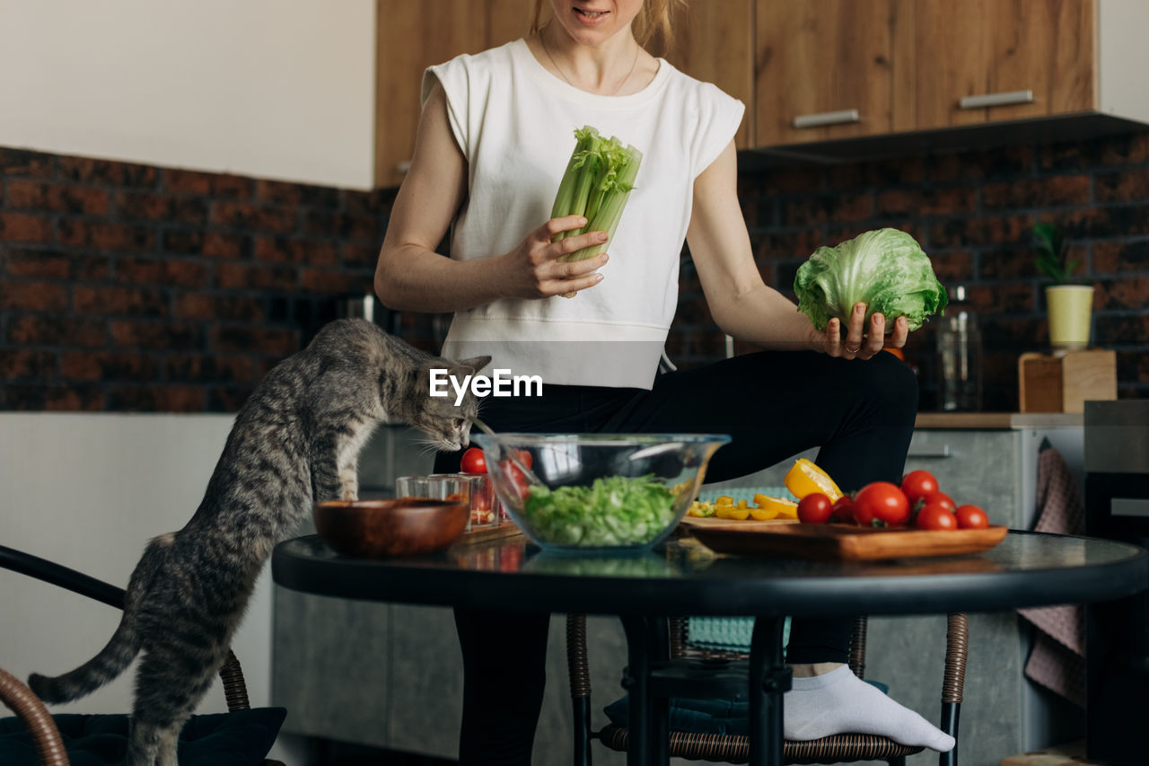 Domestic cat on the table in the kitchen sniffs the salad that the girl cooks at home