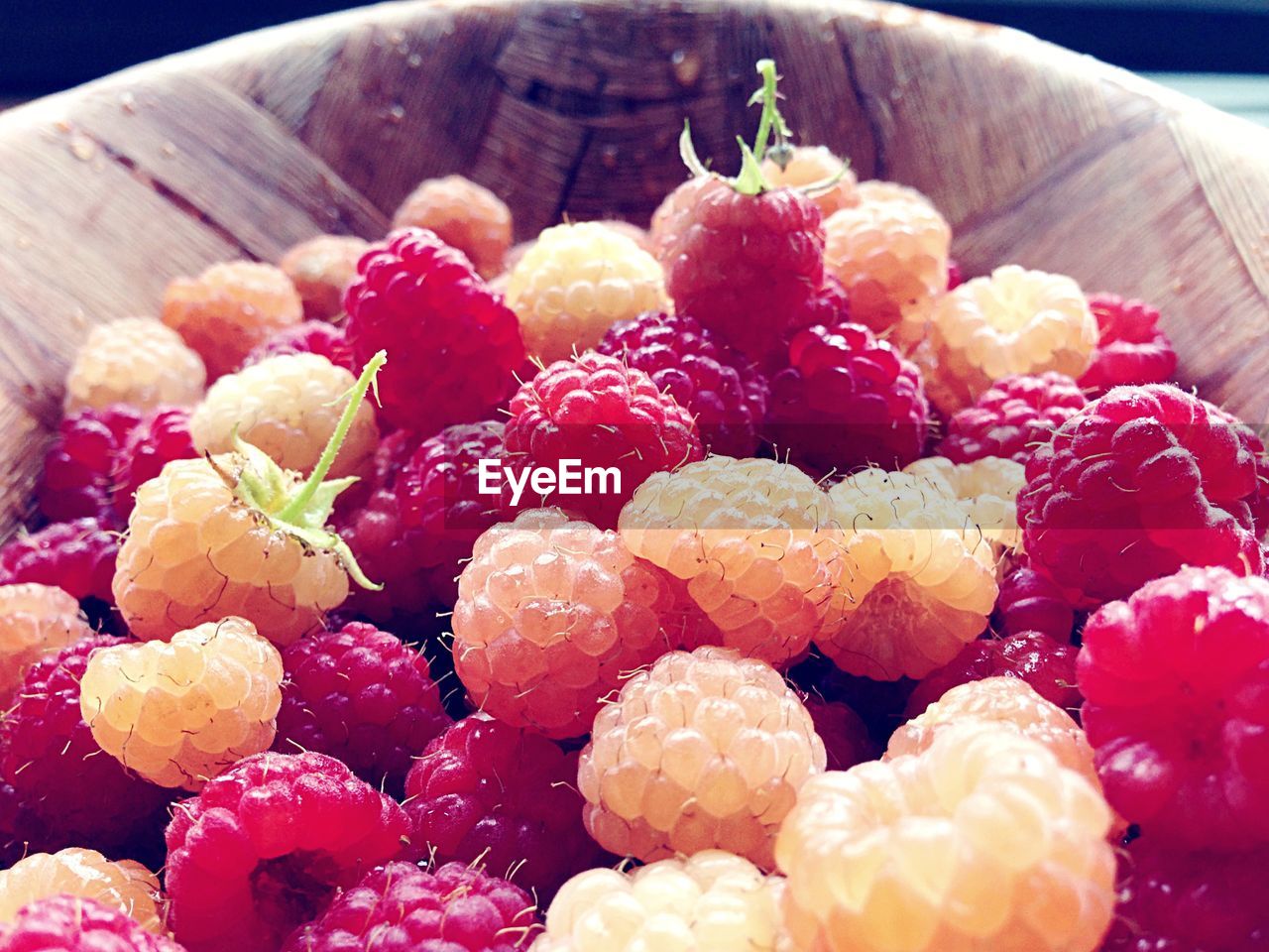 Raspberries in bowl