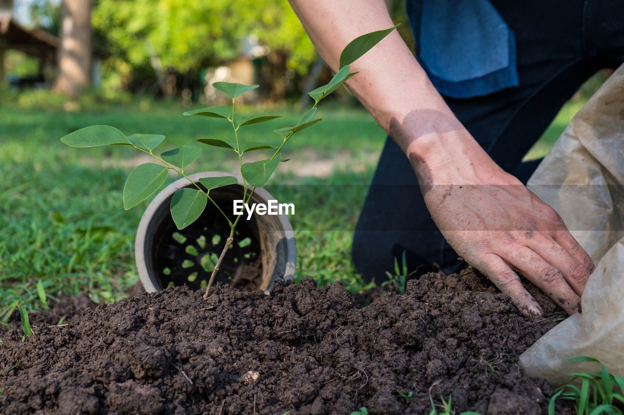 Close-up of man planting plant in park