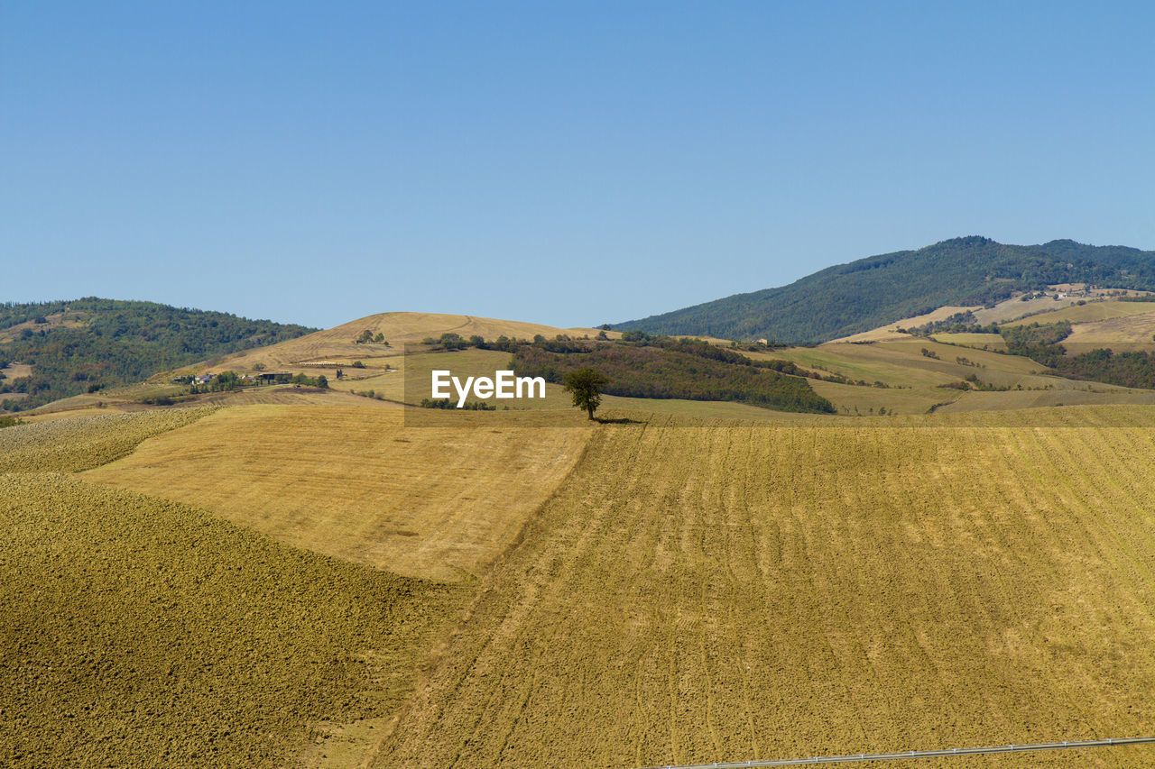 SCENIC VIEW OF LANDSCAPE AGAINST CLEAR SKY