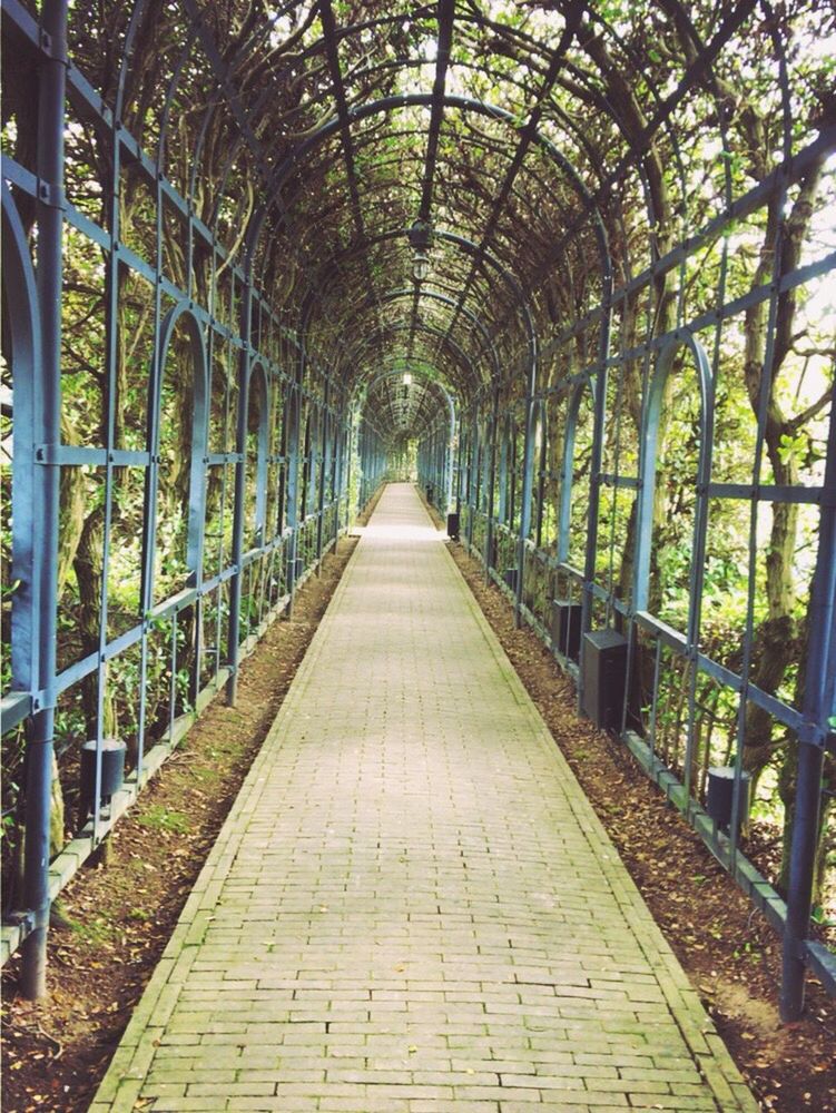 WALKWAY LEADING TOWARDS BUILDING