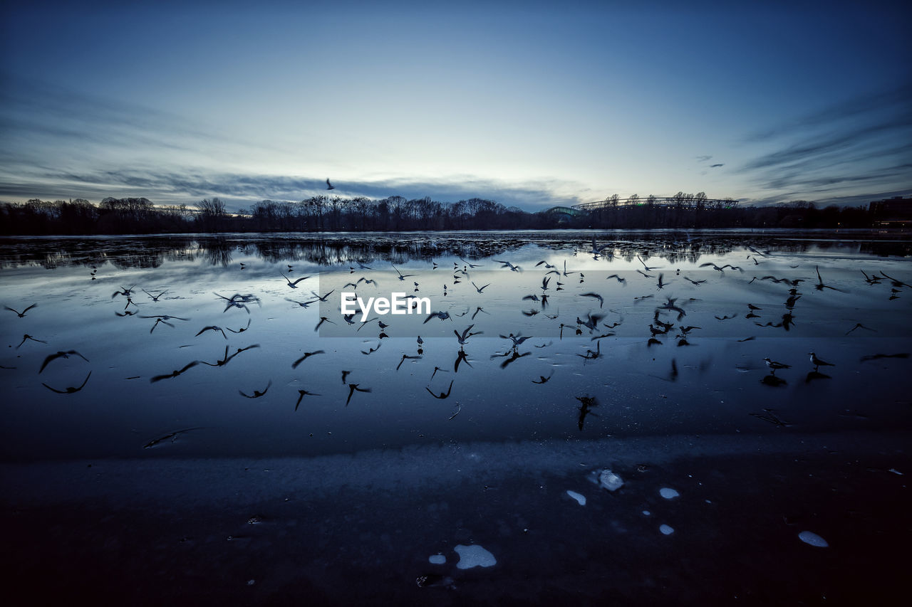 Birds flying over calm lake against sky