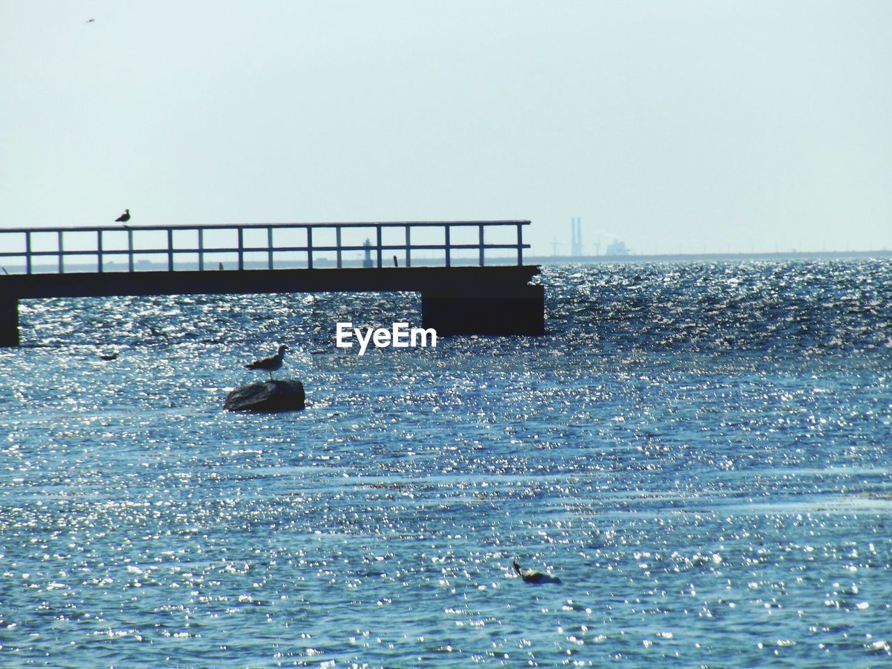 SEAGULL PERCHING ON SEA AGAINST SKY