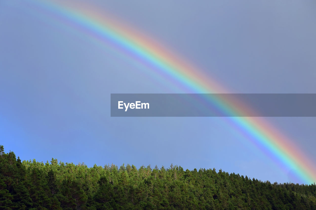 Low angle view of rainbow over trees