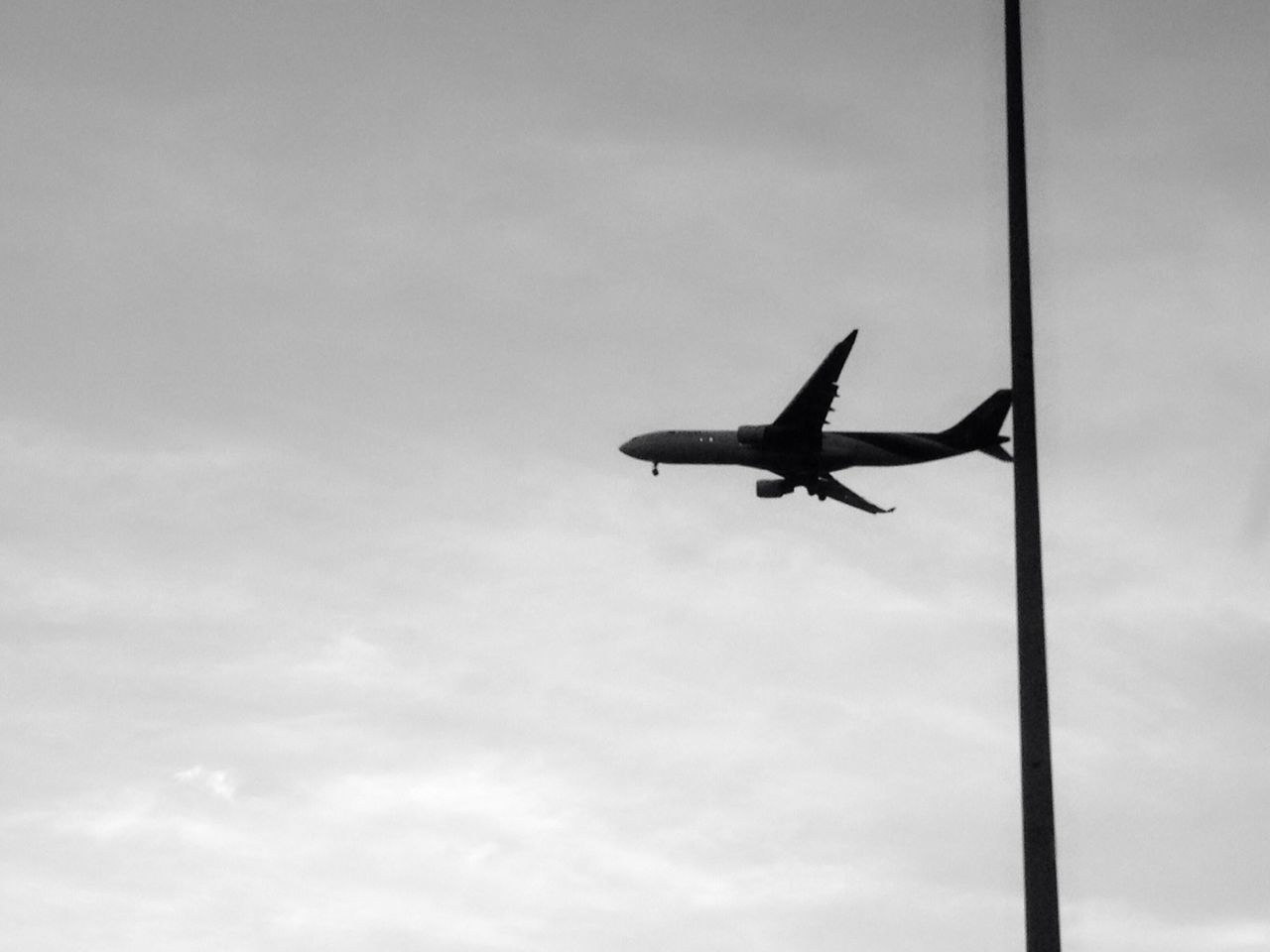 LOW ANGLE VIEW OF BIRD FLYING OVER THE SKY