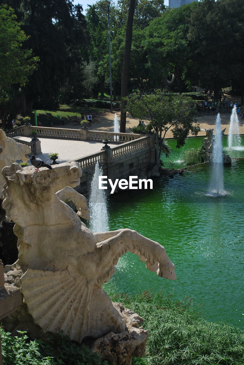 SWIMMING POOL IN PARK