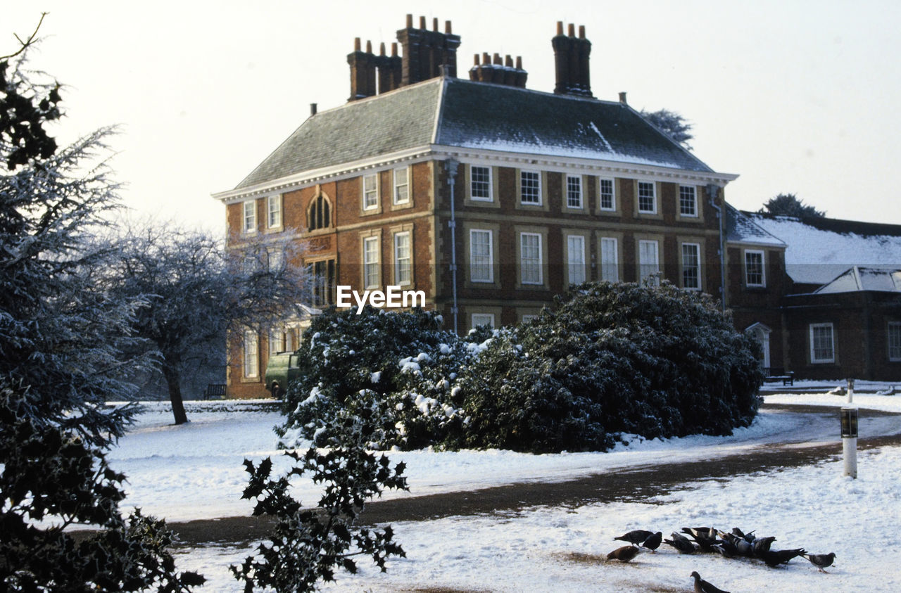 TREES BY HOUSE DURING WINTER