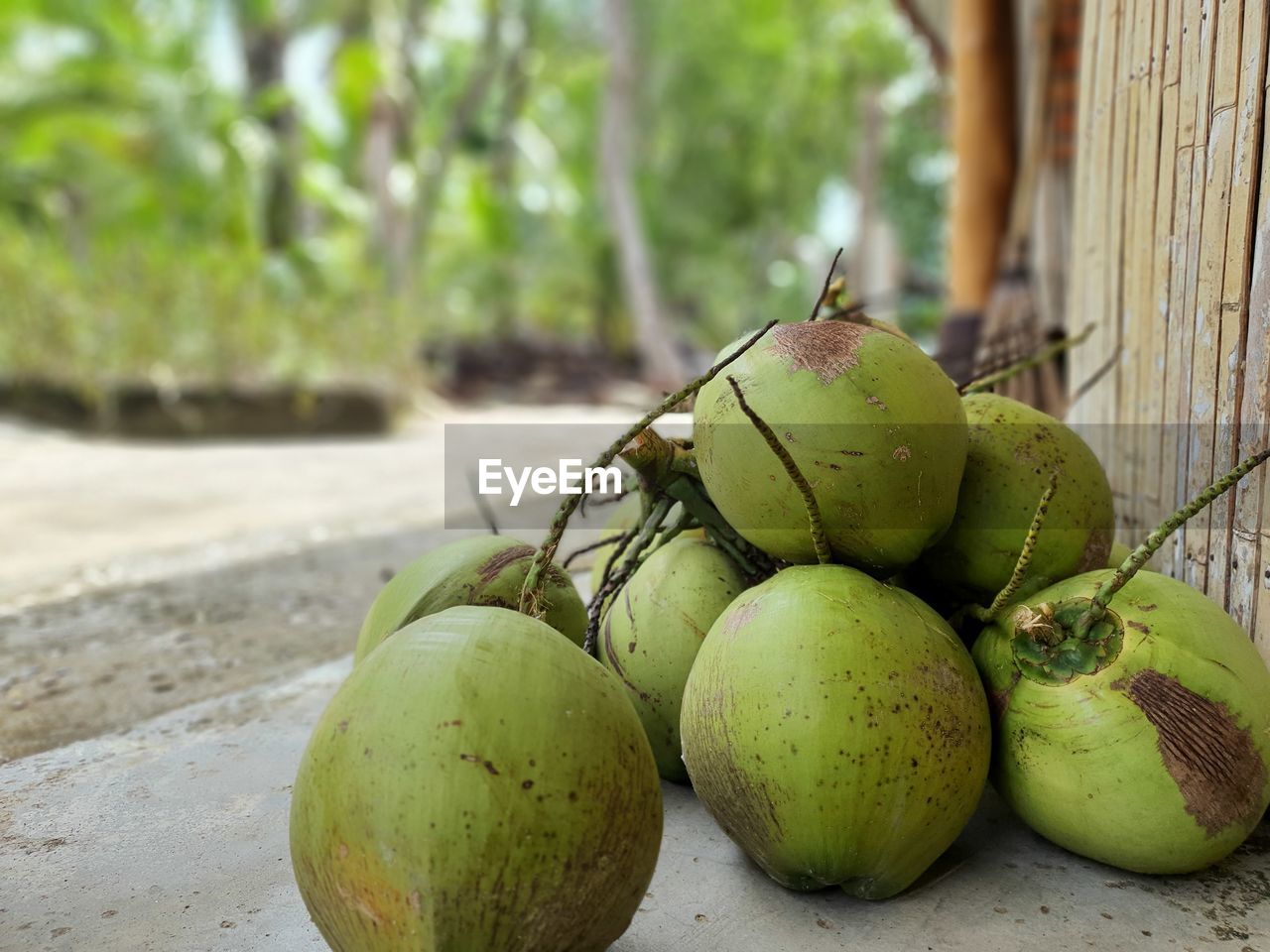 food, food and drink, healthy eating, fruit, wellbeing, freshness, produce, green, plant, tropical fruit, no people, coconut, focus on foreground, nature, day, outdoors, tree, close-up, social issues, tropical climate