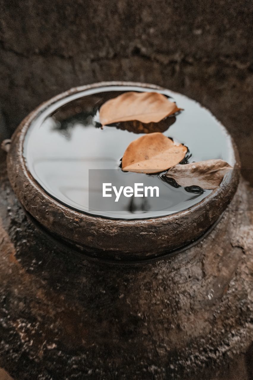 Dried leaves floating on the water in the pottery