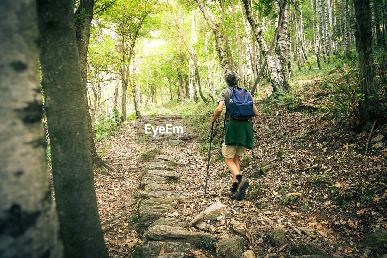 Middle age man walking in the mountain forest. male with backpack do hike in the nature guy trekking