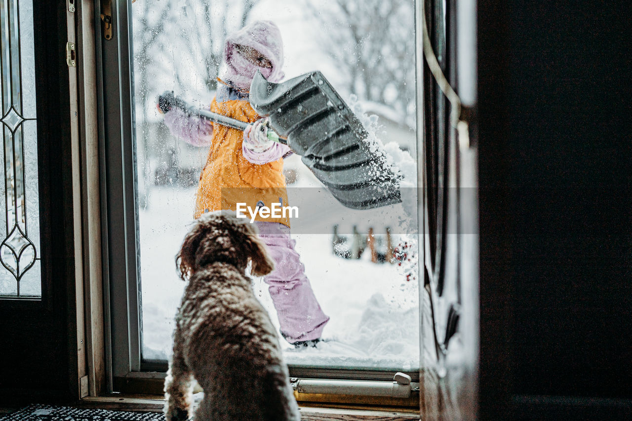 Dog standing by door in winter with child shoveling snow outside 