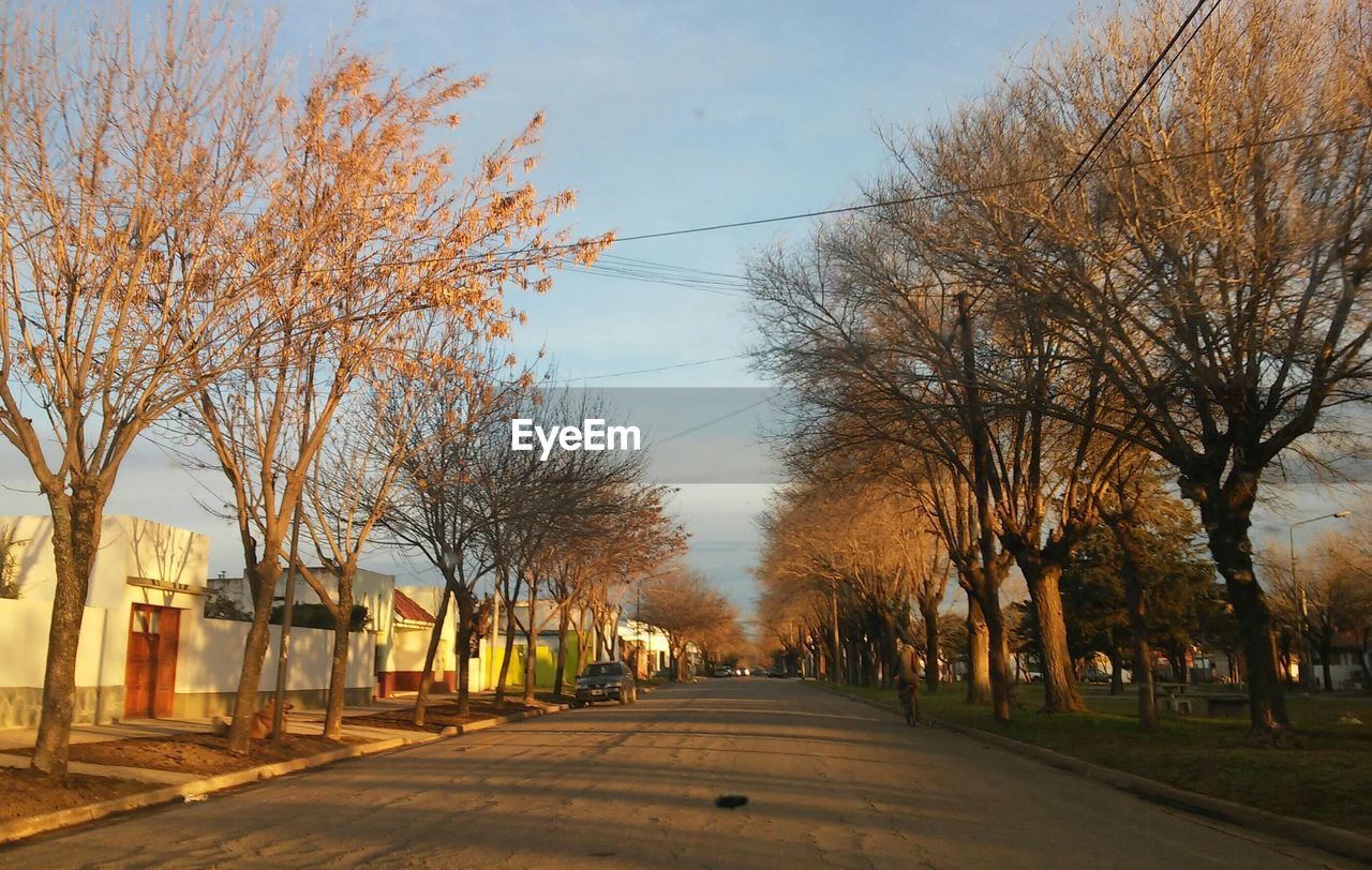 Street amidst trees against sky