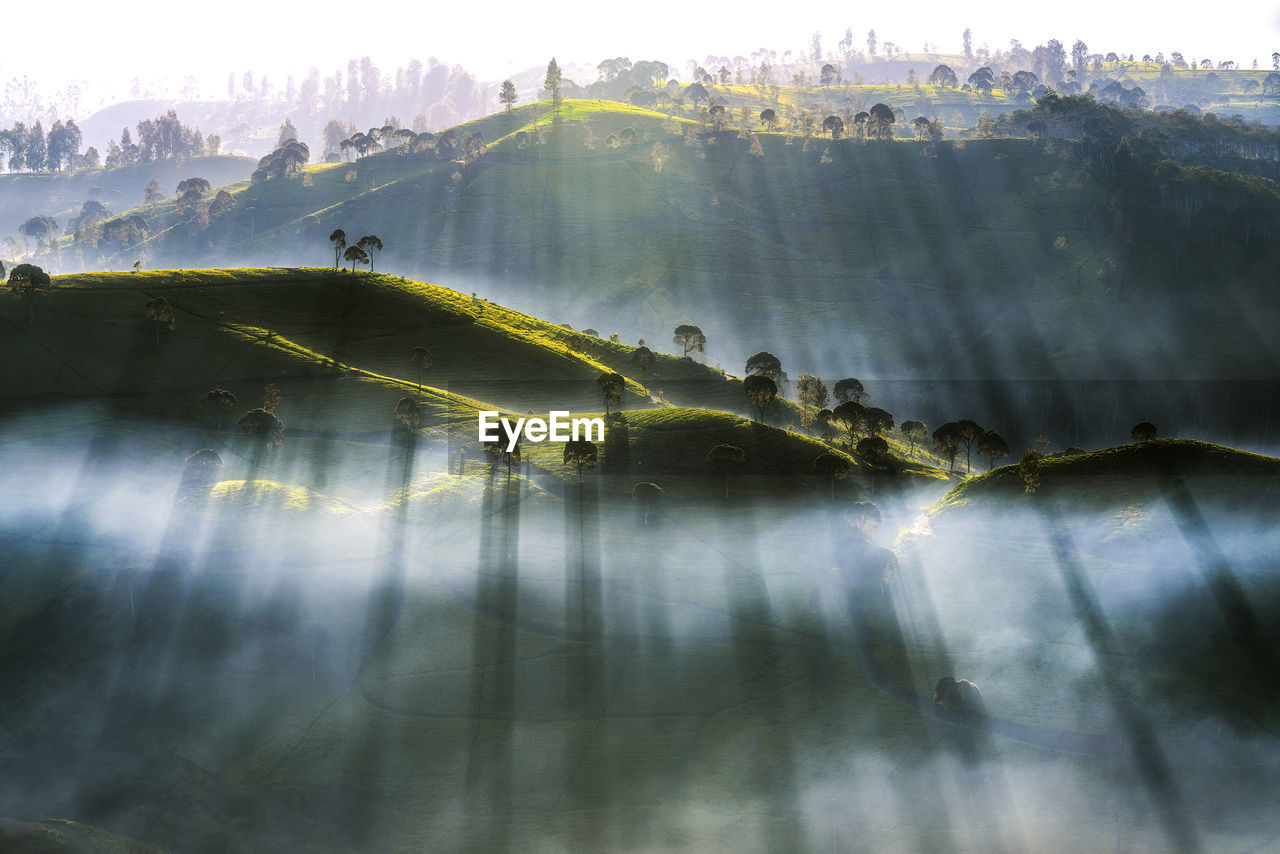 Scenic view of green landscape against sky