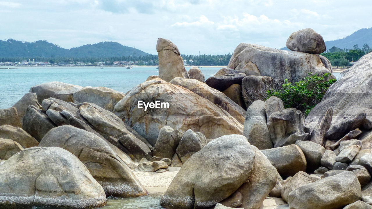 rock, water, sea, boulder, nature, beach, land, sky, shore, coast, cloud, no people, beauty in nature, animal wildlife, day, scenics - nature, wildlife, outdoors, tranquility, travel destinations, animal, coastline, animal themes, environment, island, relaxation, tranquil scene, travel, non-urban scene