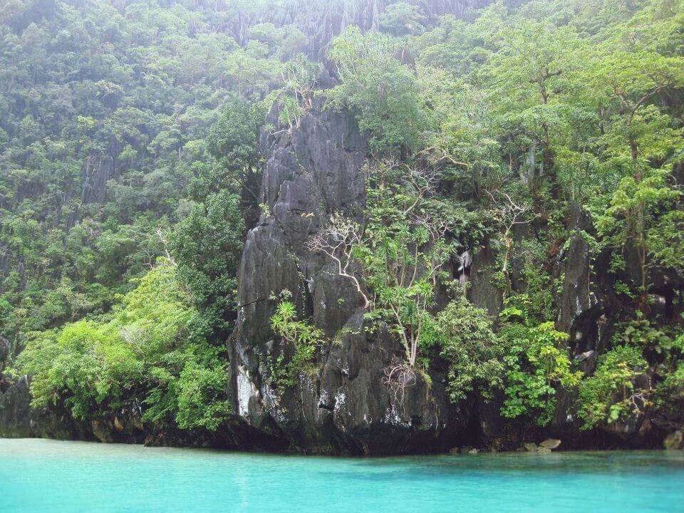 SCENIC VIEW OF RIVER AND TREES