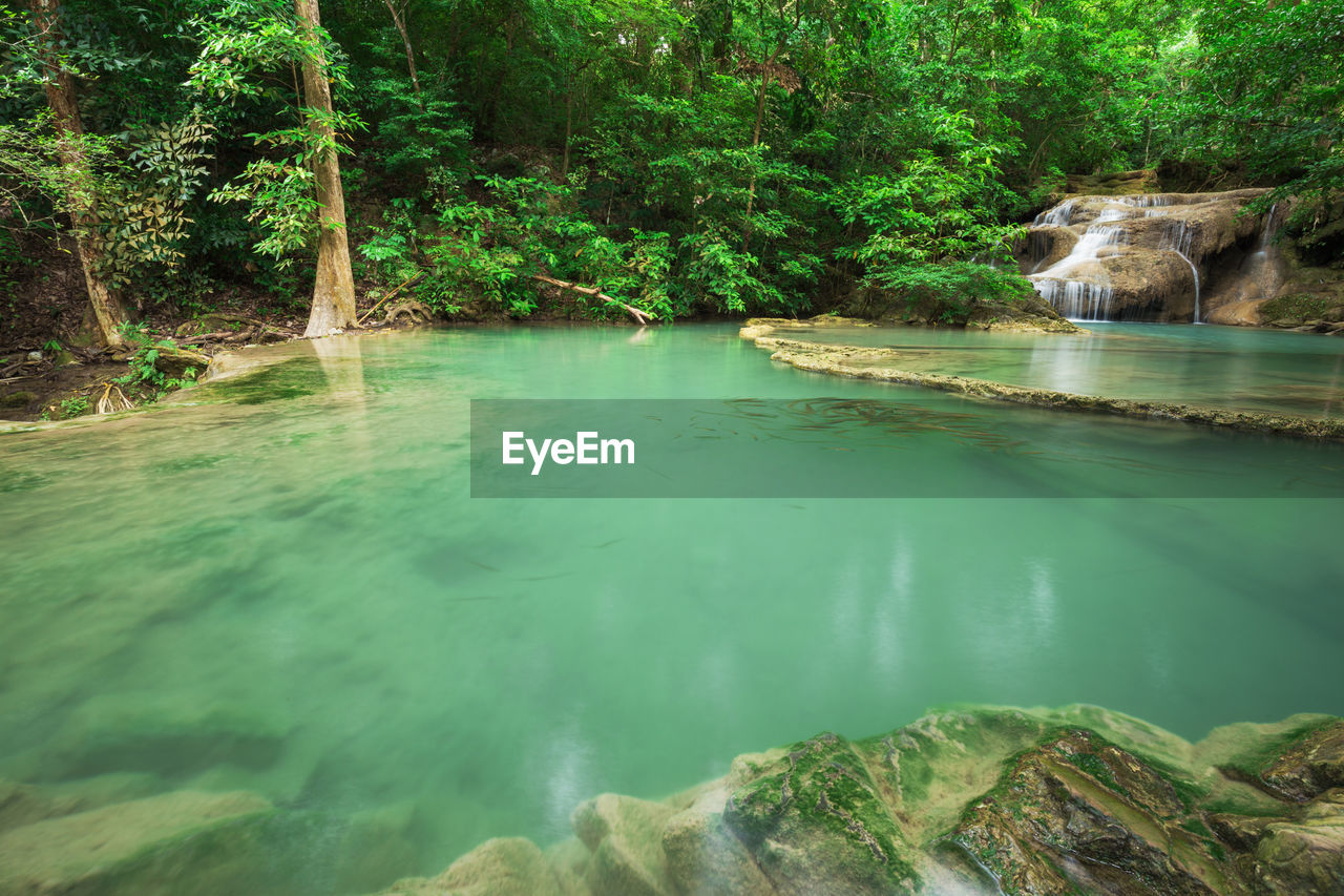 Scenic view of small lake in forest