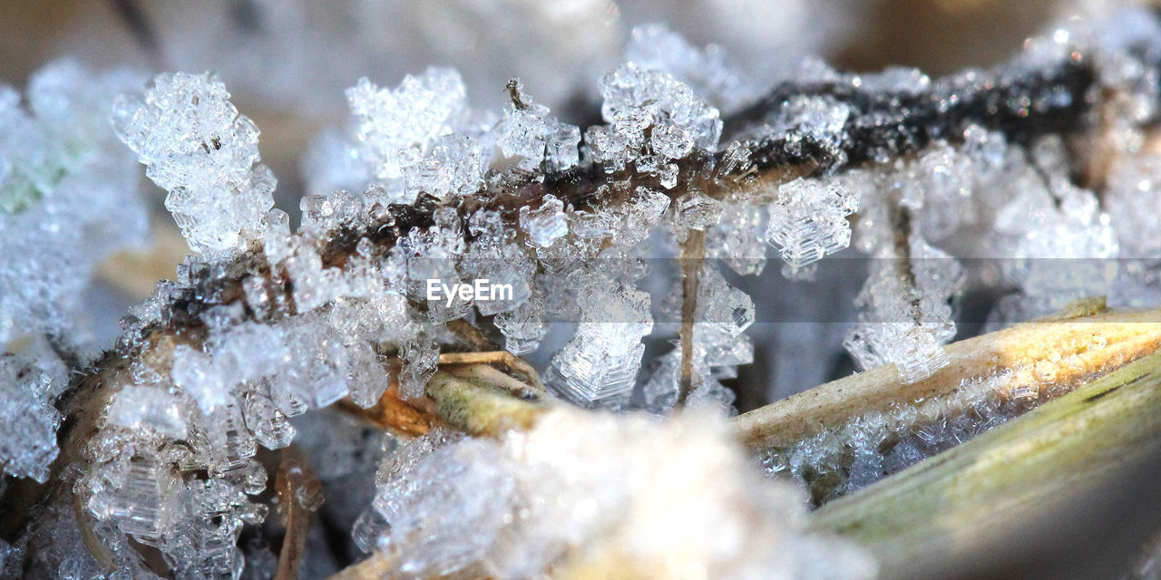 CLOSE-UP OF ICICLES ON FROZEN WATER