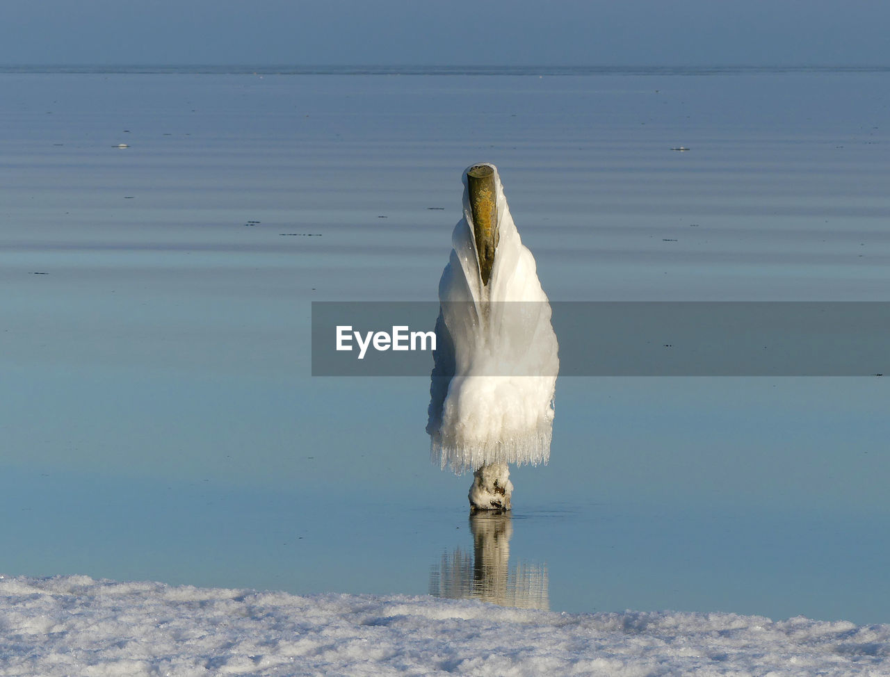 WHITE BIRD PERCHING ON SHORE