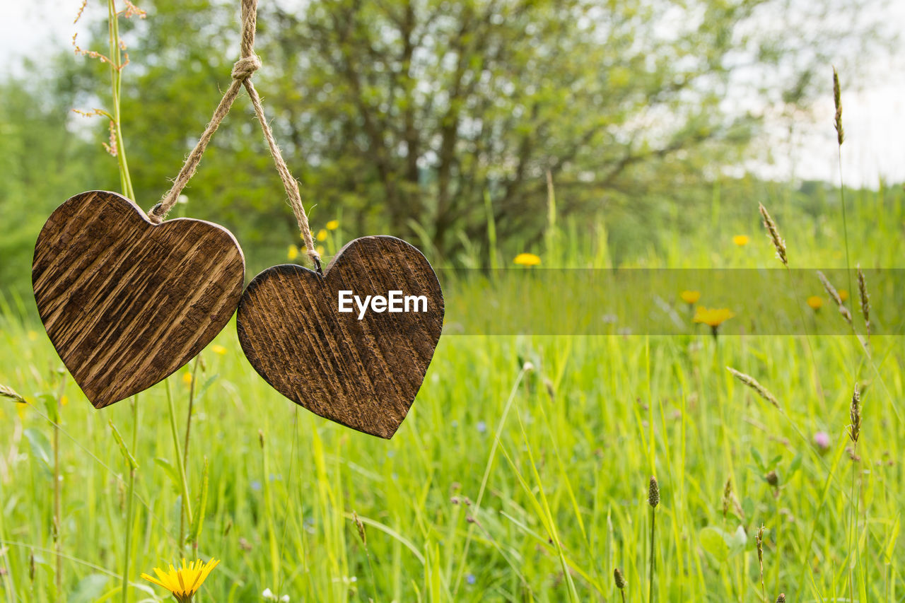 CLOSE-UP OF HEART SHAPE ON WOOD