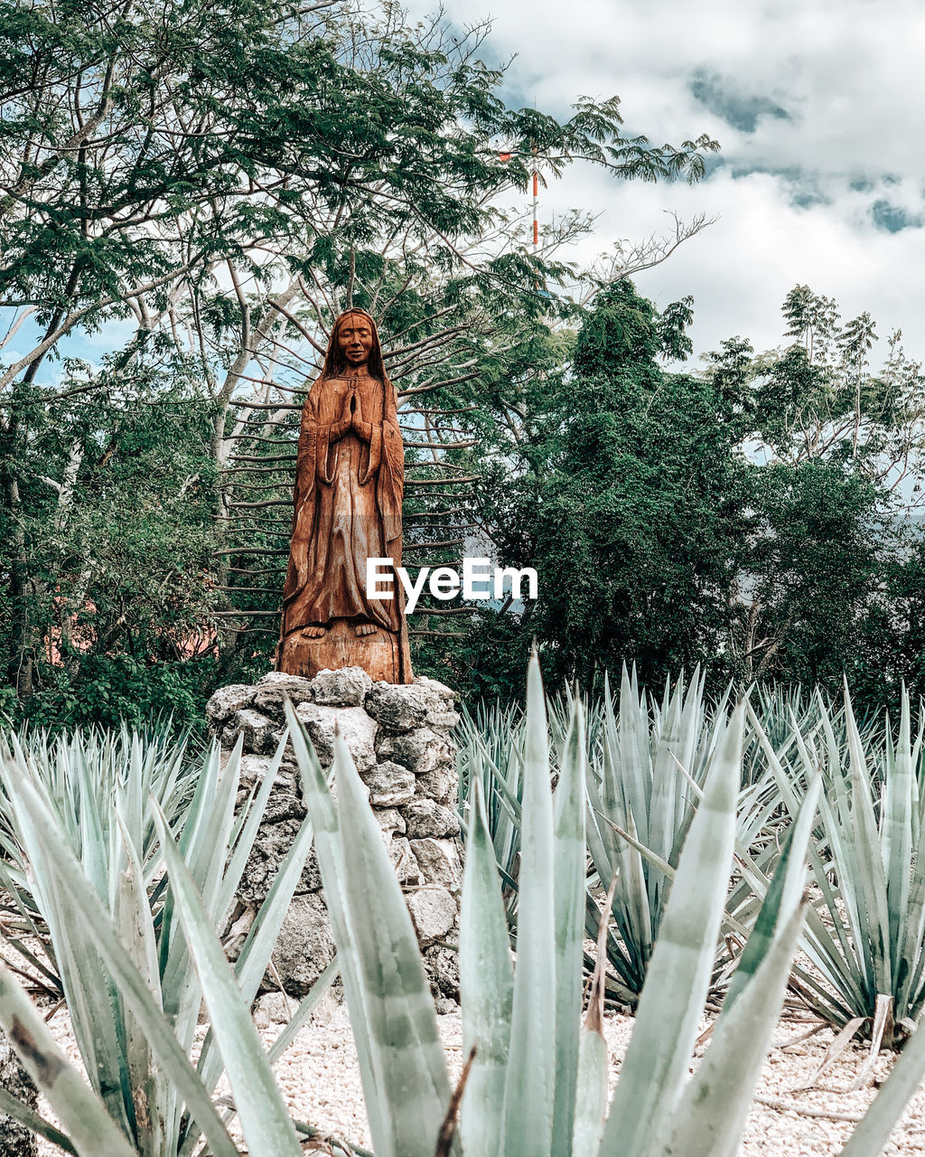 plant, flower, tree, nature, growth, agave, no people, garden, statue, sky, day, sculpture, human representation, leaf, religion, representation, cloud, outdoors, spirituality, spring, land, belief, tranquility, beauty in nature