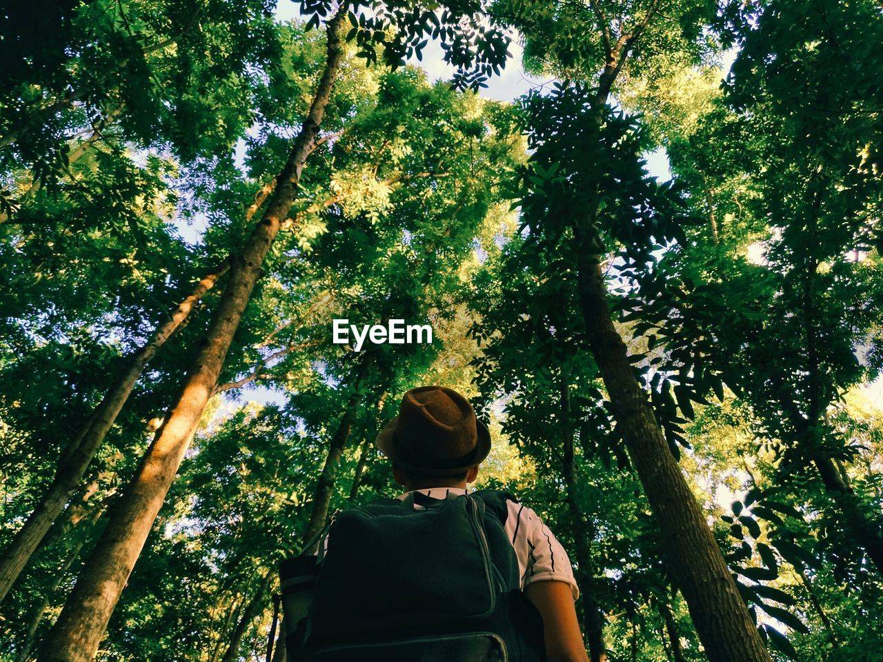 Low angle view of man against trees in forest