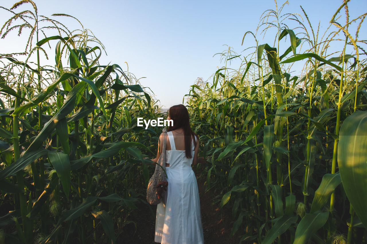 Rear view of woman standing on field against sky