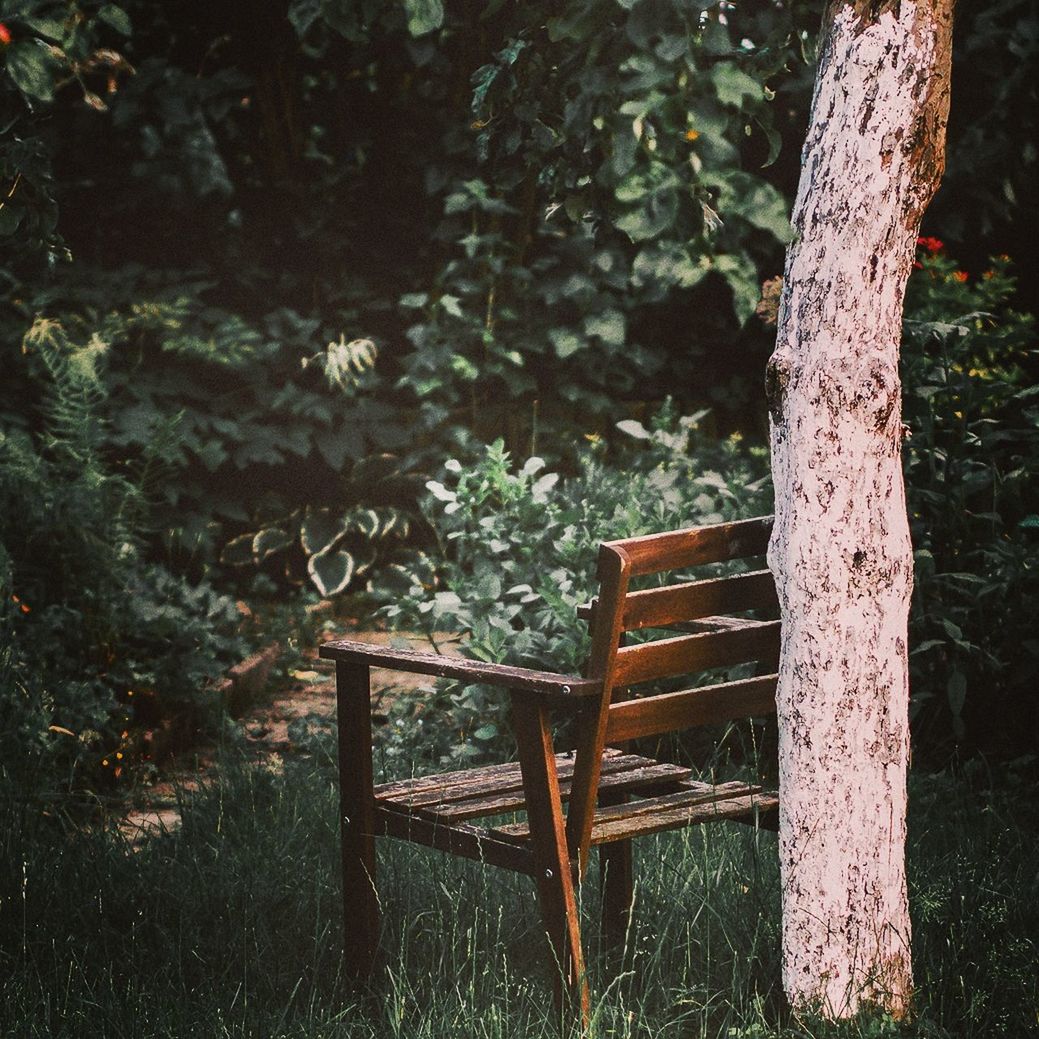 Empty chair by tree on field