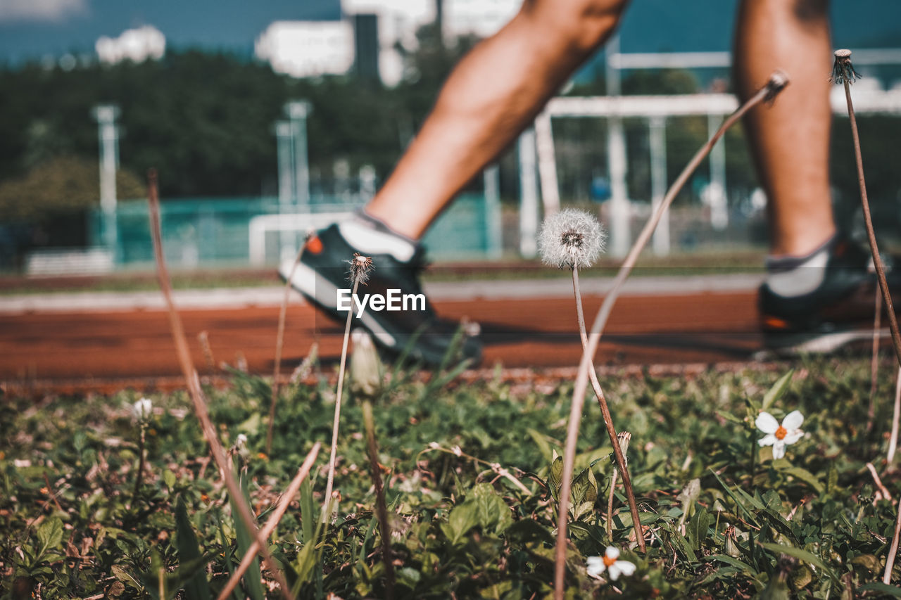 Low section of man exercising on grassy field