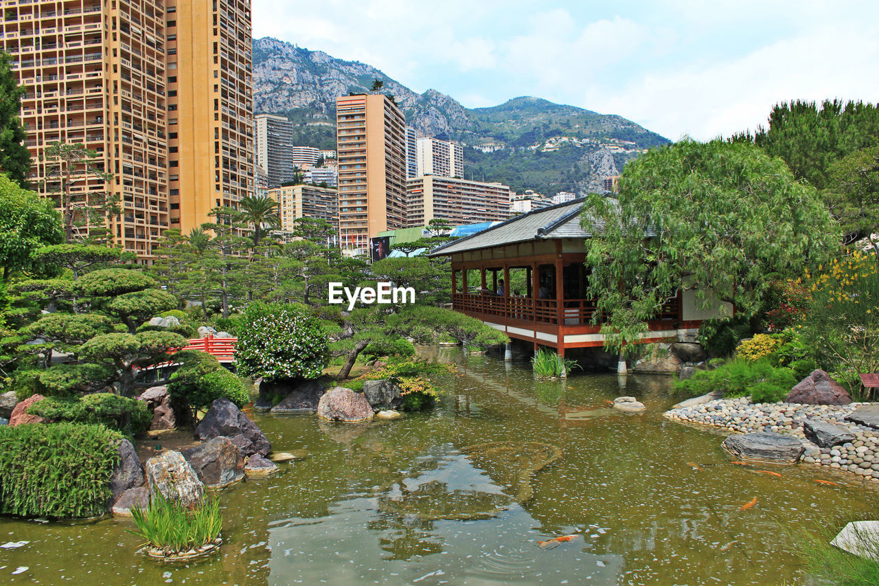 VIEW OF PLANTS AND HOUSES AGAINST STREAM