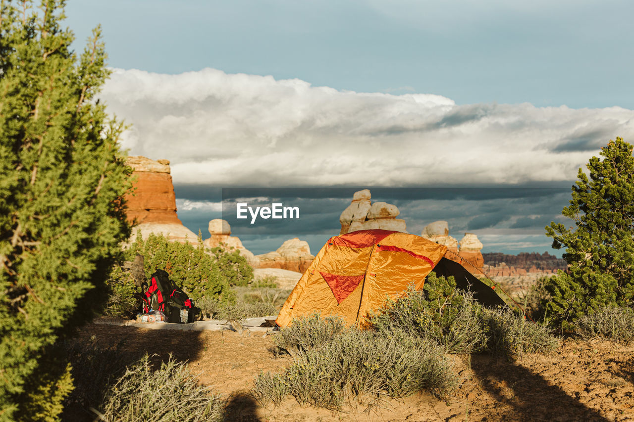 Orange tent and backpack setup amidst desert shrub in utah