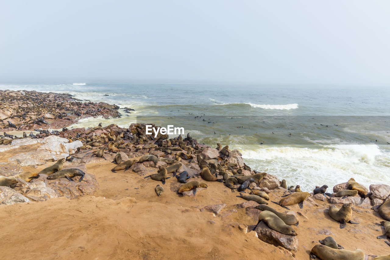 ROCKS ON BEACH AGAINST SKY