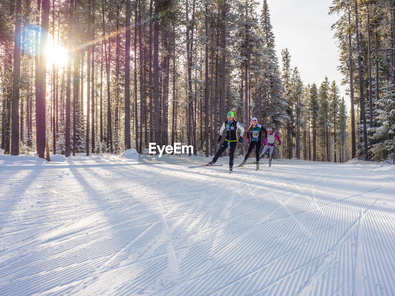 PEOPLE ON SNOW COVERED FOREST