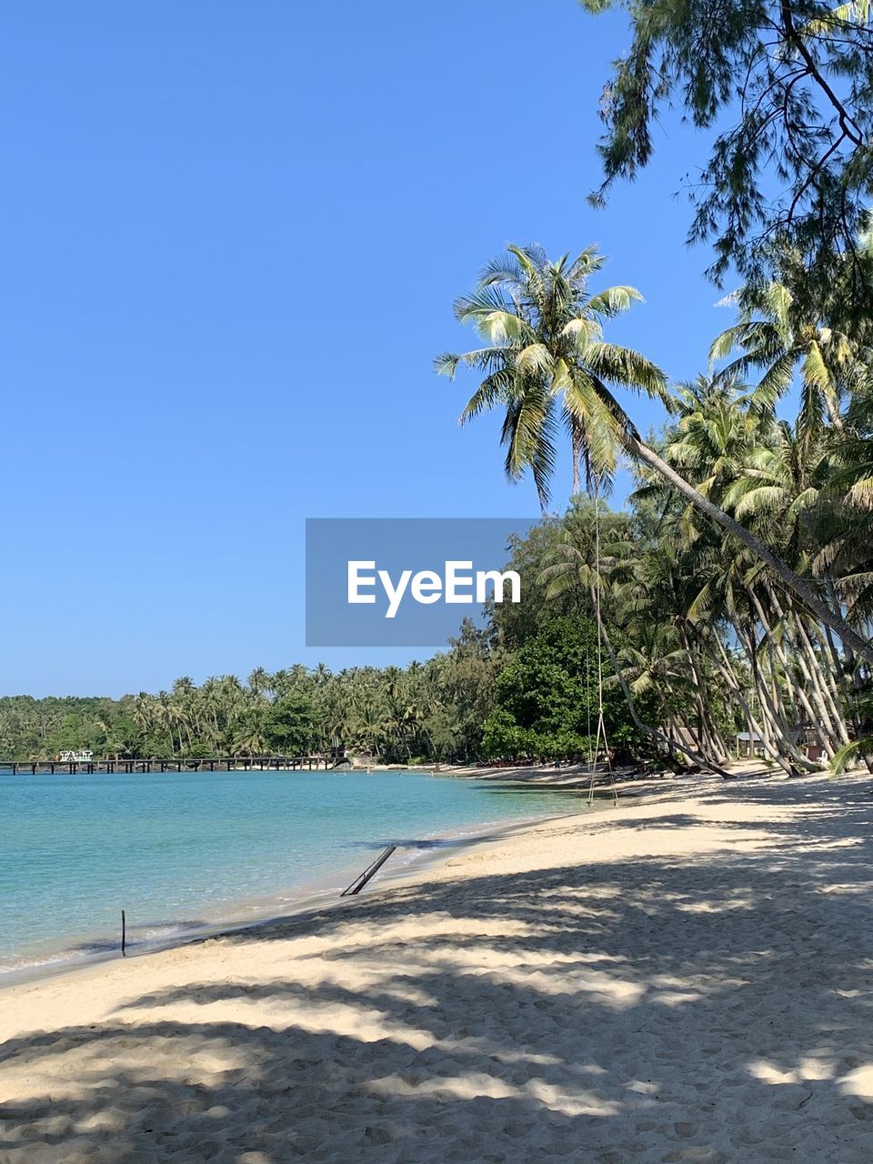 Palm trees by sea against clear blue sky