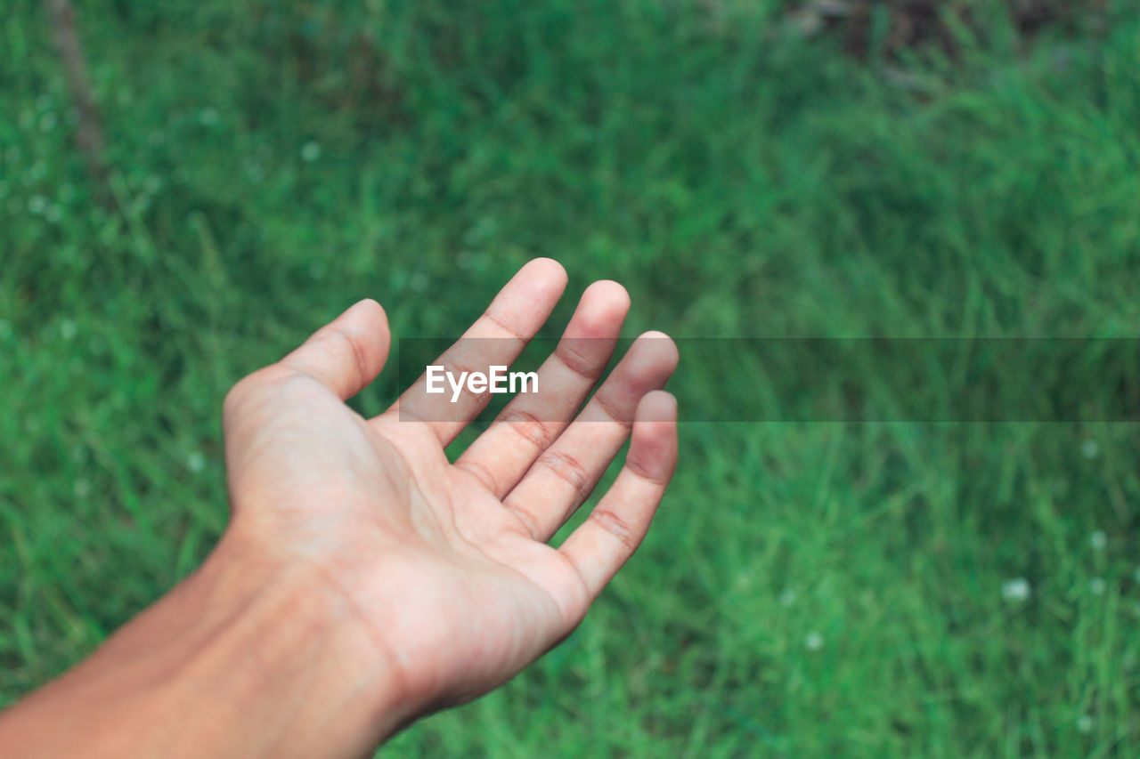 Cropped image of hand against grassy field