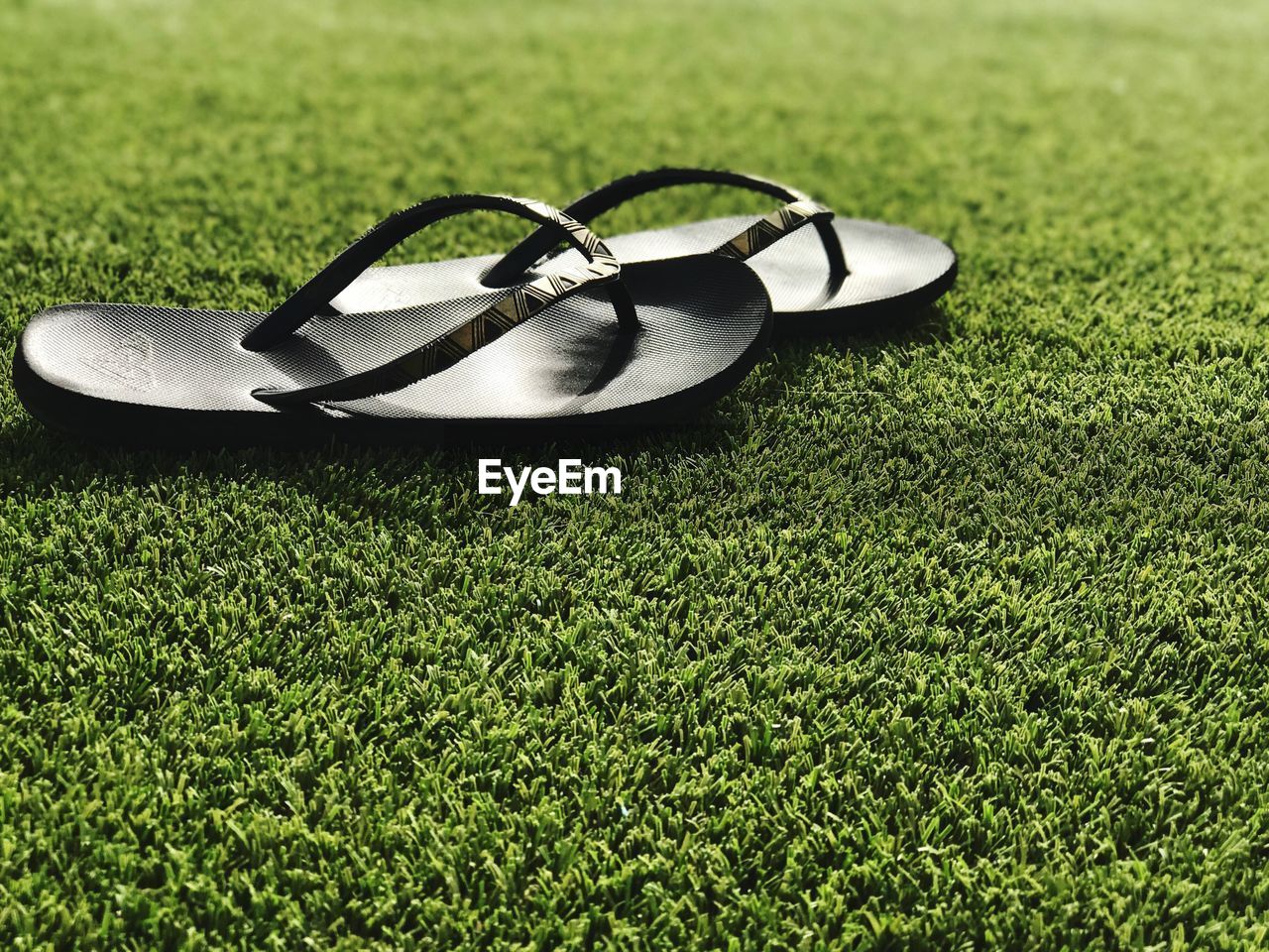 HIGH ANGLE VIEW OF SUNGLASSES AND GRASS