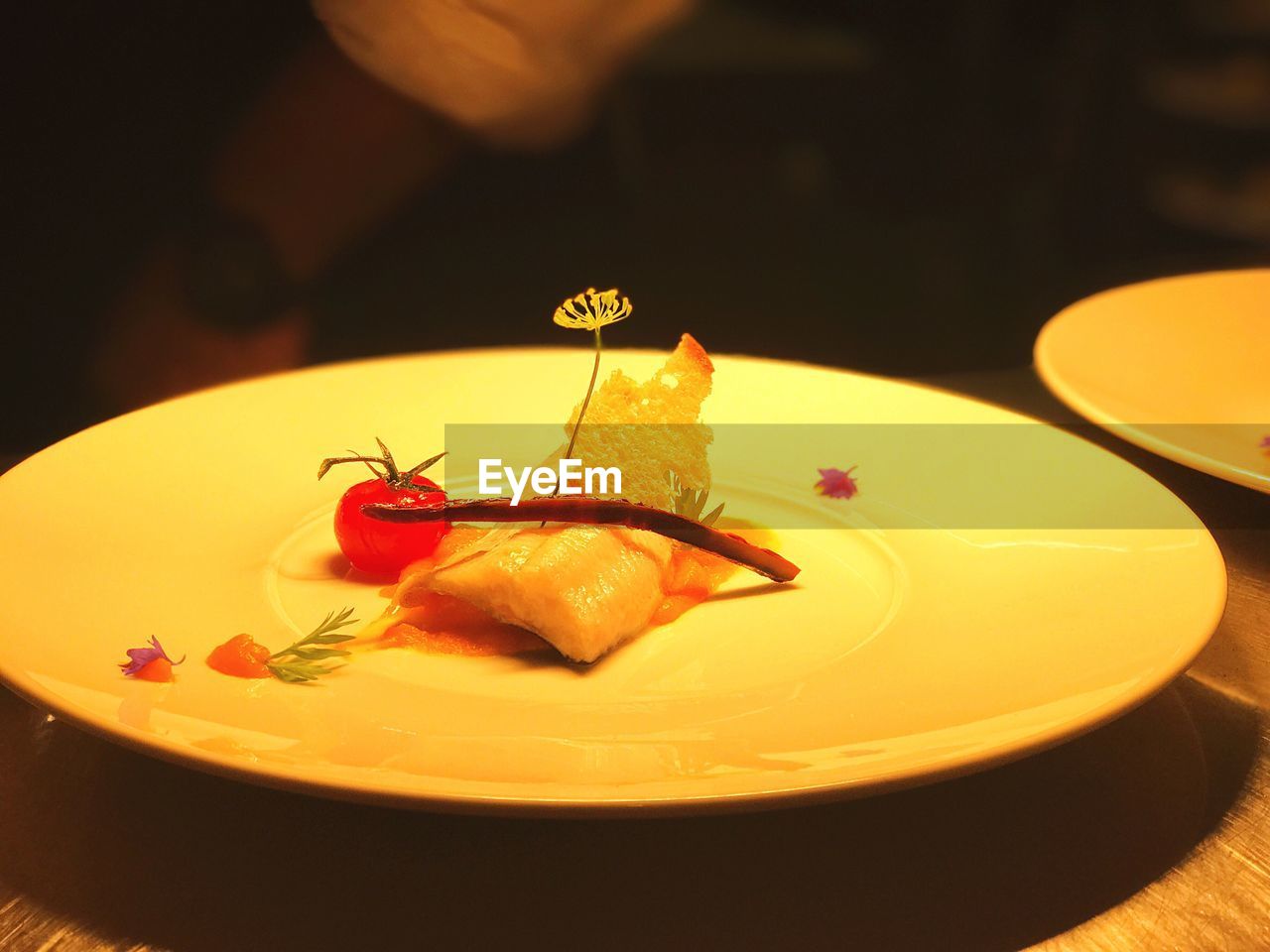 CLOSE-UP OF SUSHI SERVED ON PLATE