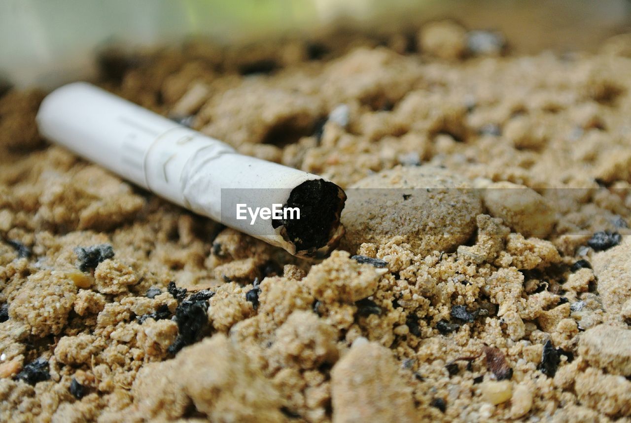 CLOSE-UP OF SHELLS ON GROUND