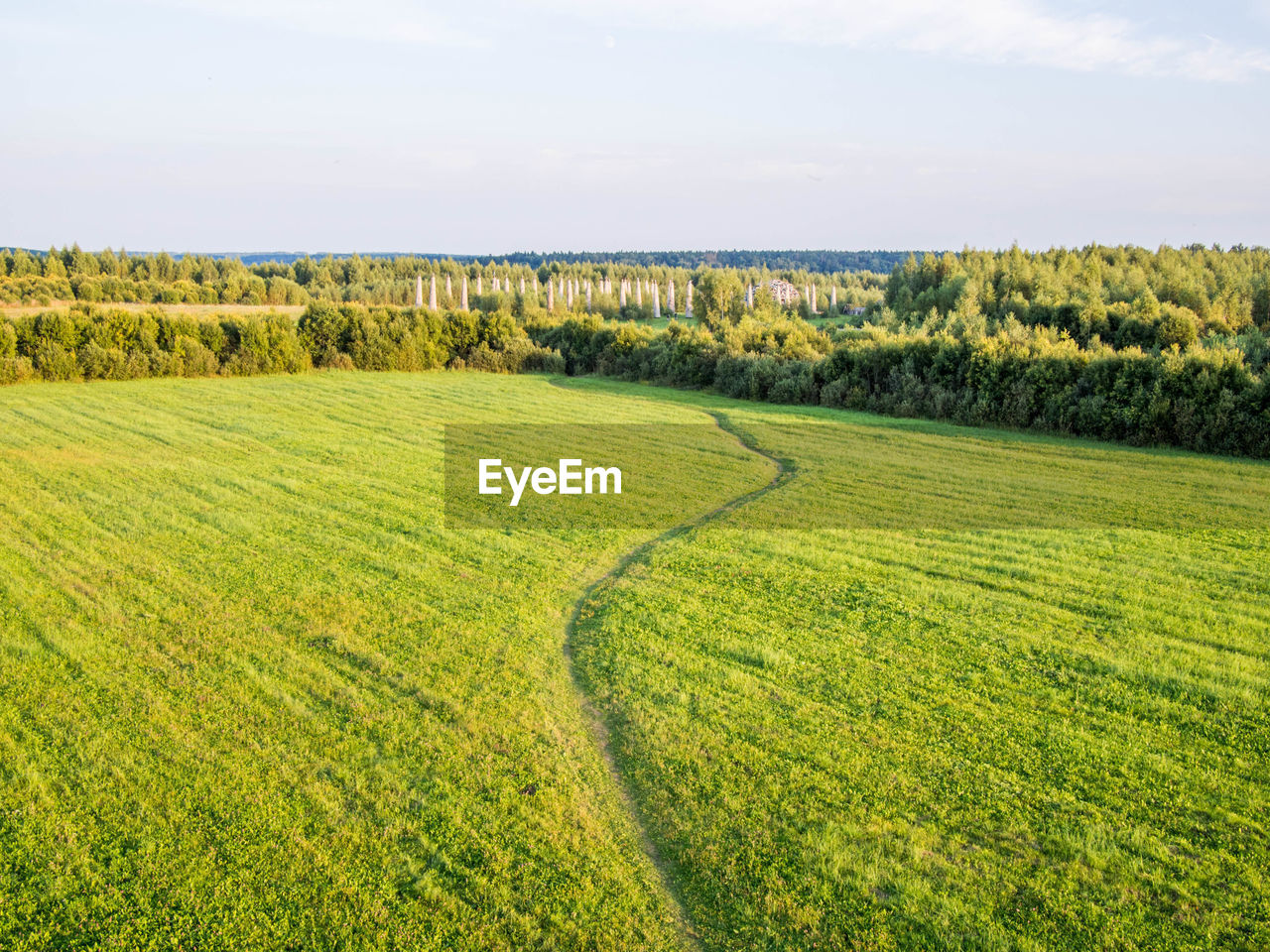 AGRICULTURAL FIELD AGAINST SKY