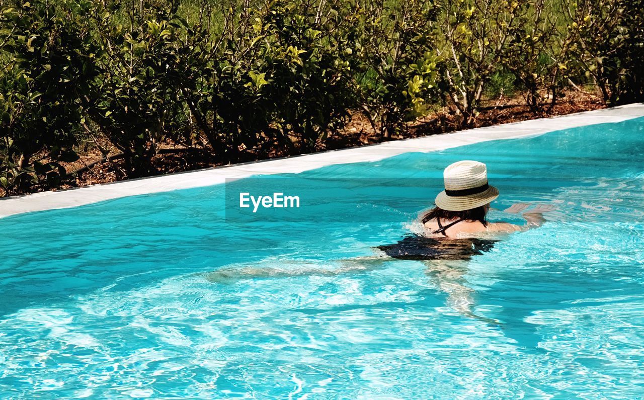 Rear view of woman in swimming pool against trees