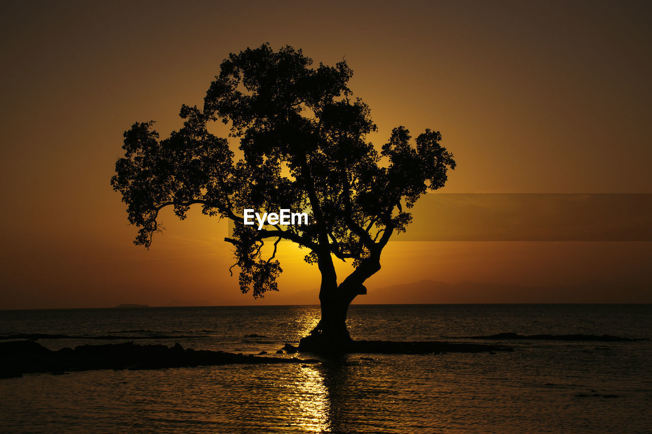 Silhouette tree by sea against sky during sunset