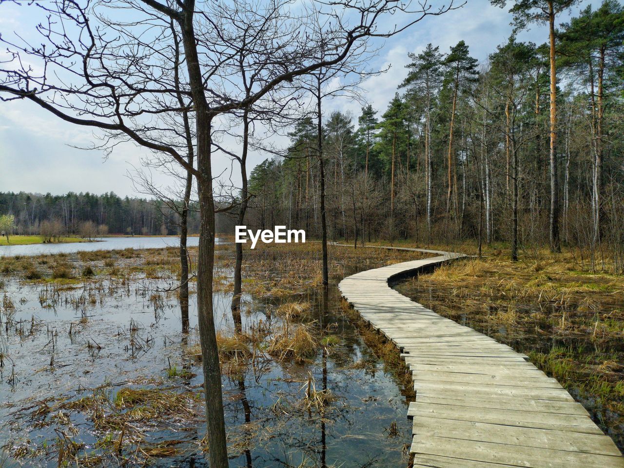 Scenic view of river in forest against sky