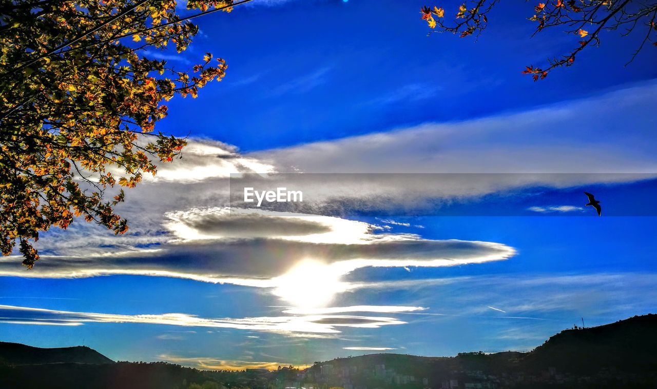 LOW ANGLE VIEW OF BIRD FLYING OVER MOUNTAINS AGAINST SKY