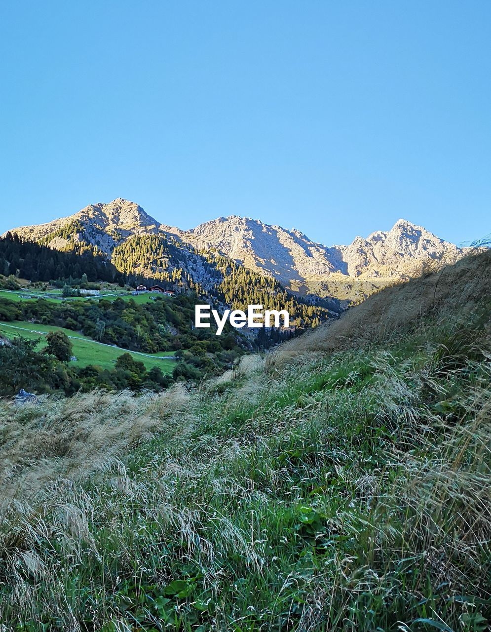 SCENIC VIEW OF MOUNTAINS AGAINST CLEAR SKY