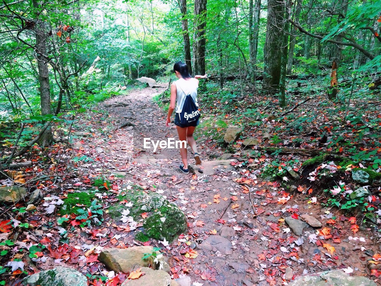 Full length rear view of woman walking in forest