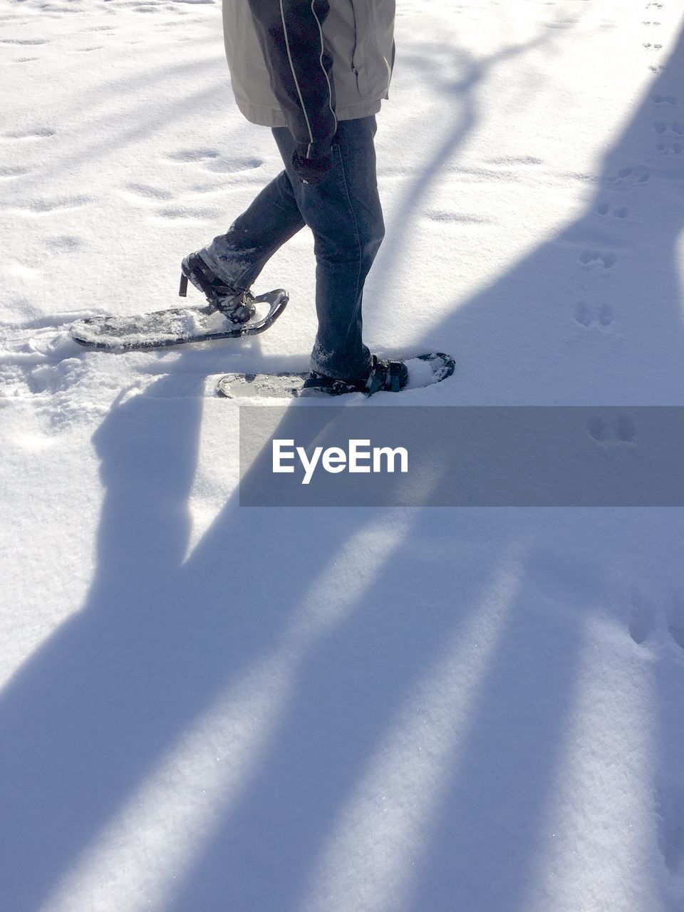 Low section of man walking on snow