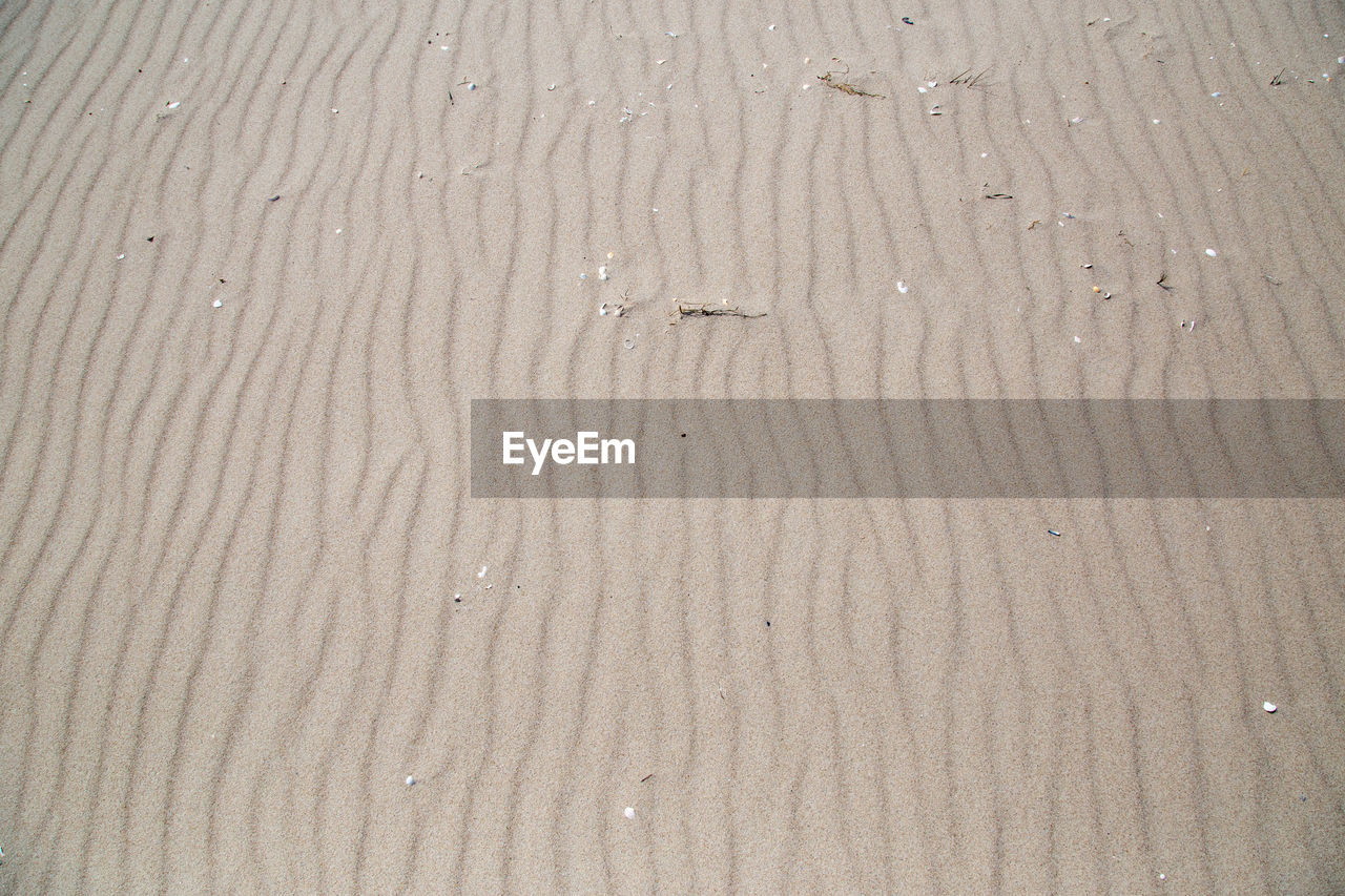 FULL FRAME SHOT OF CRACKED BEACH